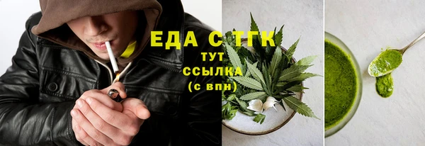 хмурый Каменка