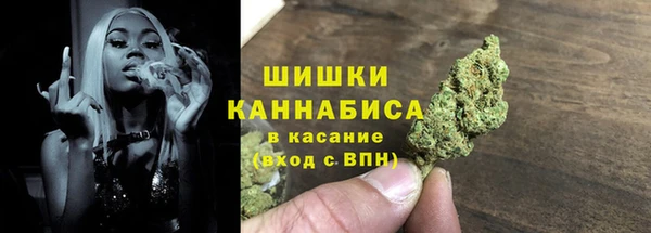 PSILOCYBIN Каменск-Шахтинский