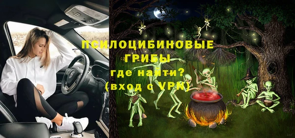PSILOCYBIN Каменск-Шахтинский