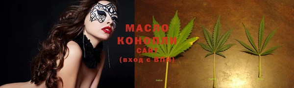 хмурый Каменка