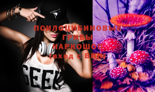 хмурый Каменка