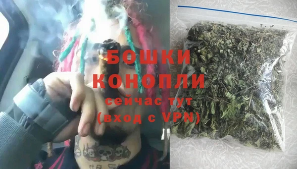 хмурый Каменка