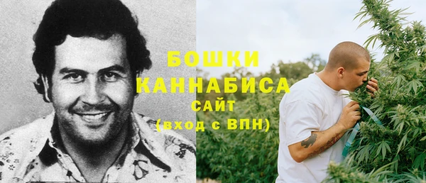 хмурый Каменка
