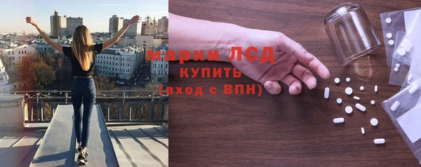хмурый Каменка